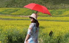 相爱十年全集下载